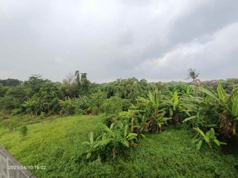 tanah view sawah dekat canggu dan tanah lot bali