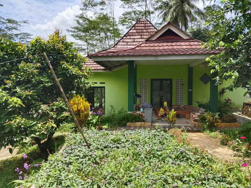 vila kolam ikan sumber air subur subang