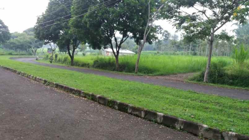 cocok untuk resort tanah kavling di batu malang