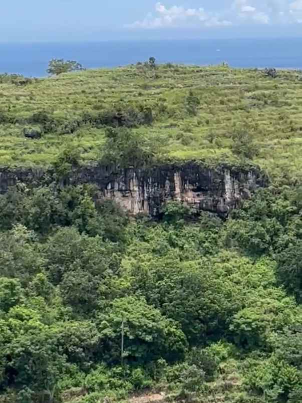 dijual 38 ha loss tebing tanglad nusa penida klungkung