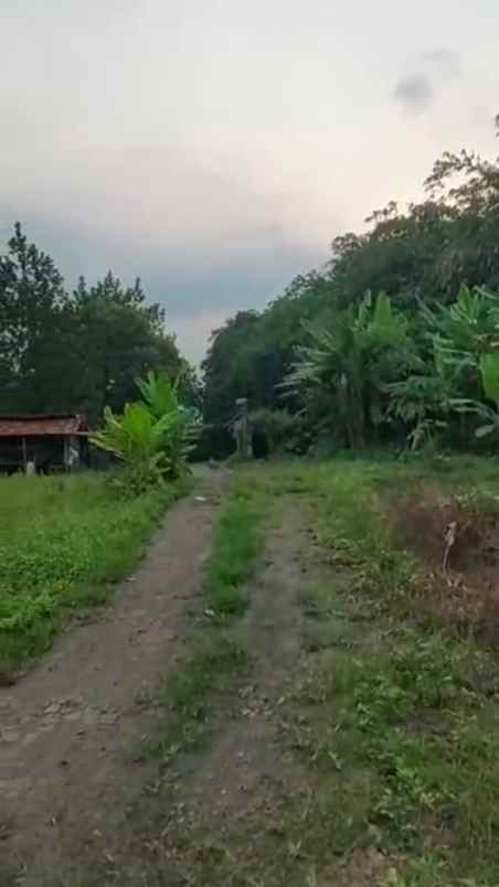 dijual kavling di curug bojong nangka legok tangerang