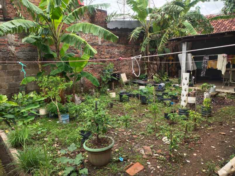 dijual lahan di daerah pulo gebang