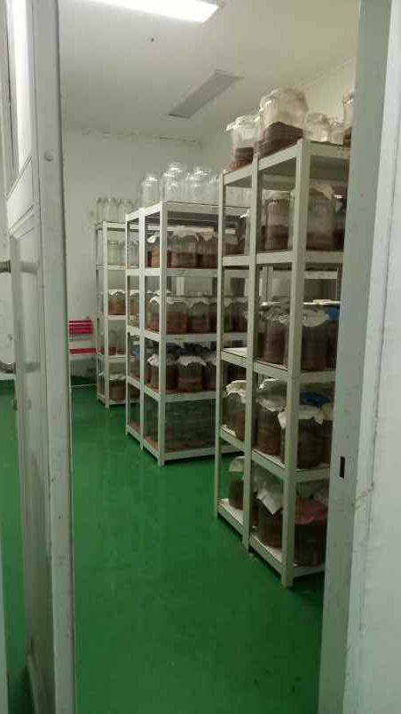 dijual ruko gudang kantor jalan rawadomba jatiraden