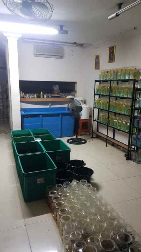 dijual rumah gunung sahari sawah besar jakarta pusat