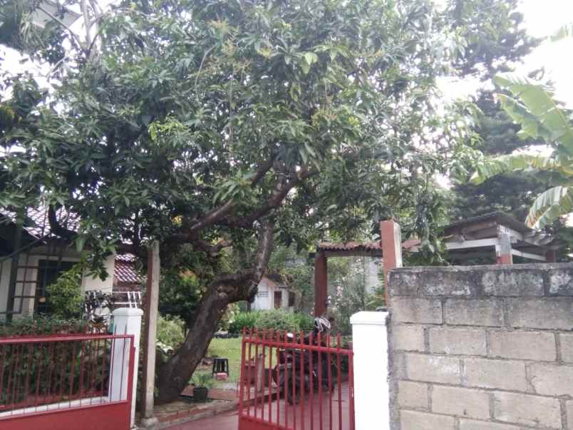 dijual rumah kembangan selatan jakarta