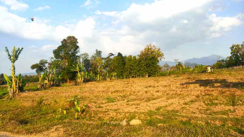 dijual tanah 2967m jln dpu matesih karanganyar