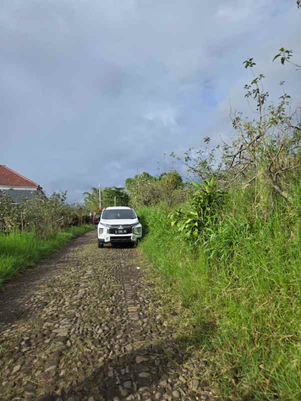 dijual tanah bulukerto