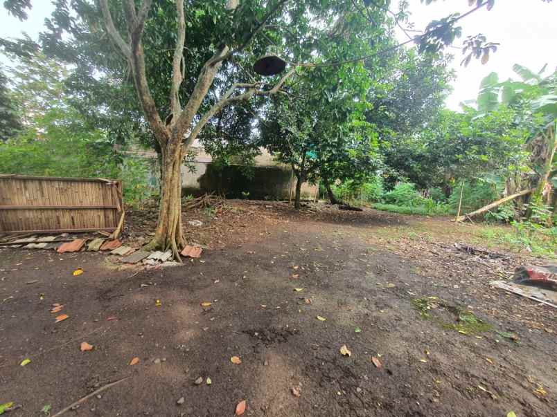 dijual tanah ciater sepong