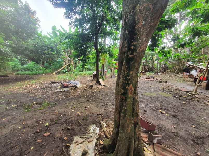 dijual tanah ciater sepong