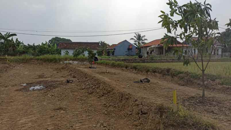 dijual tanah cibarusah jonggol