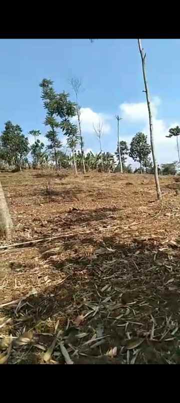 dijual tanah cigendel