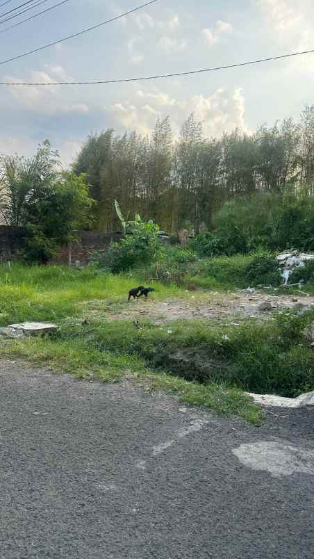 dijual tanah cingised