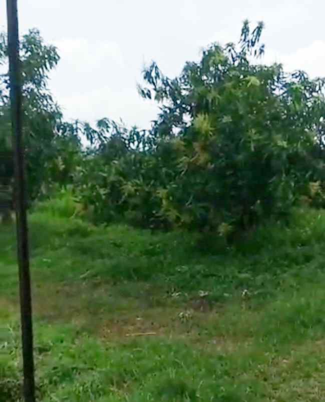 dijual tanah cipeujeuh wetan