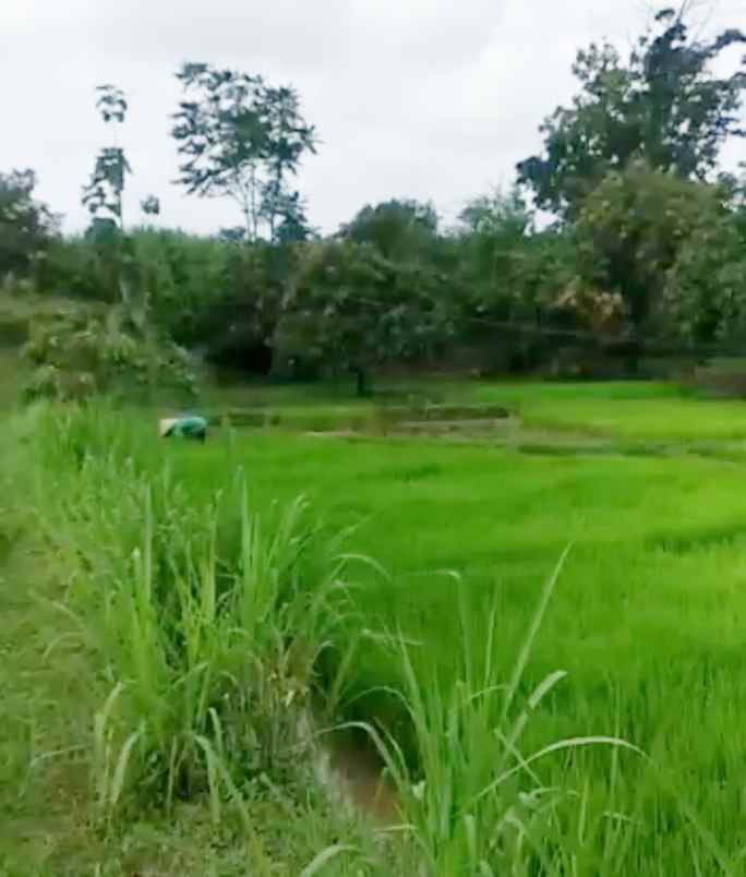 dijual tanah cipeujeuh wetan