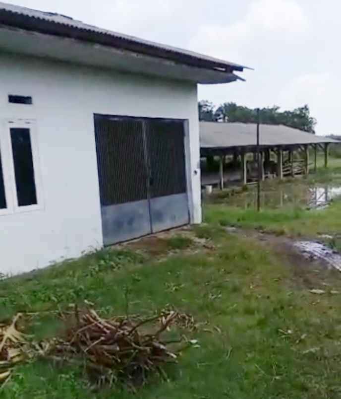 dijual tanah cipeujeuh wetan