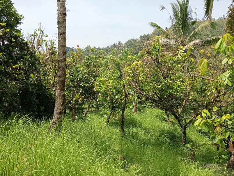 dijual tanah desa angkah kec selemadeg