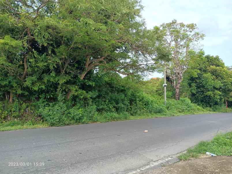 dijual tanah dharmawangsa ungasan