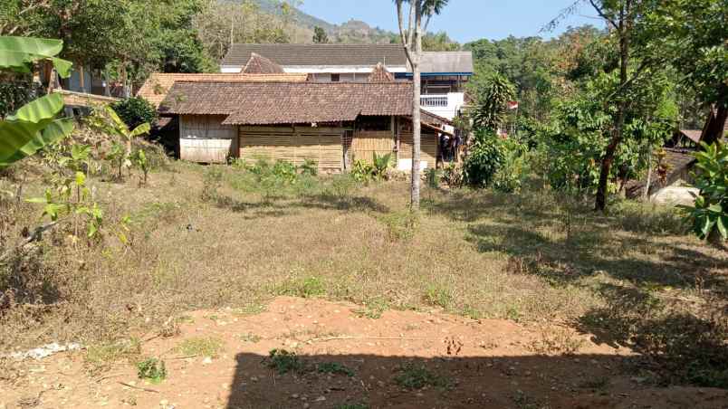 dijual tanah di desa ngunut kec parang kab magetan