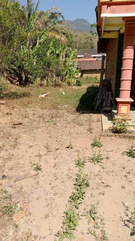 dijual tanah di desa ngunut kec parang kab magetan