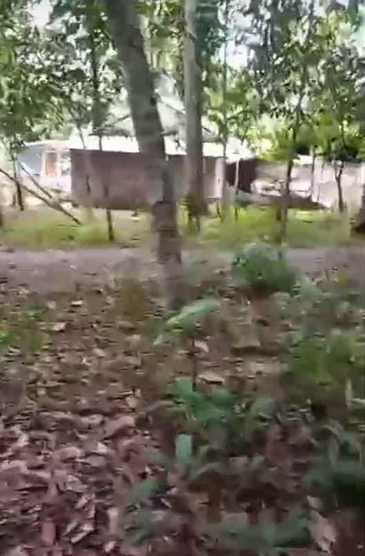 dijual tanah dijual tanah di kp kadu