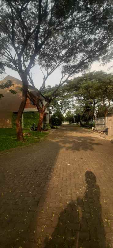 dijual tanah foresta cluster alberra