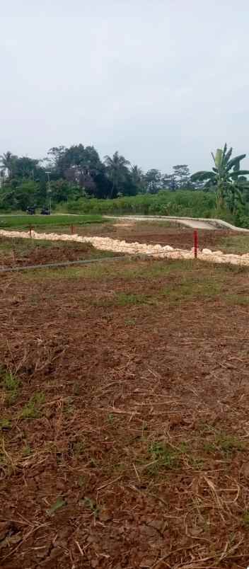 dijual tanah girimulya cibungbulang