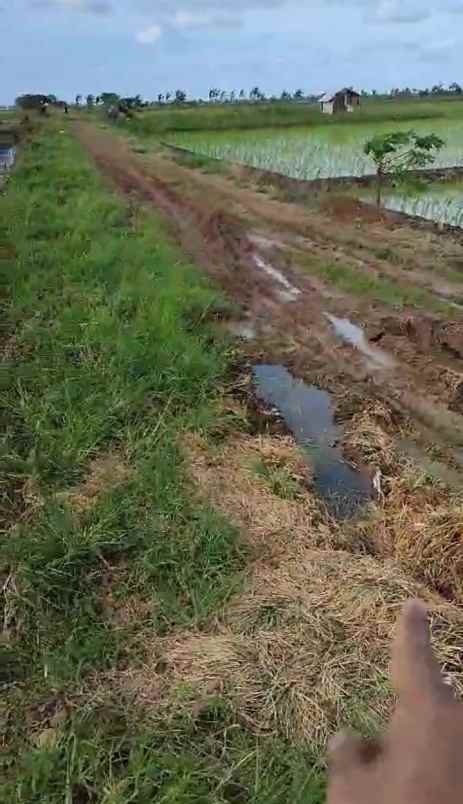 dijual tanah jalan bi pasar