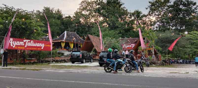 dijual tanah jalan raya karangmojo