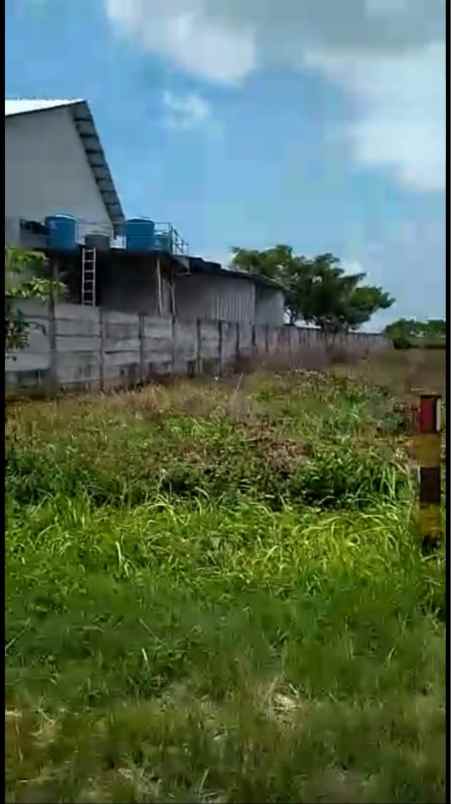dijual tanah jalan raya tuban babat