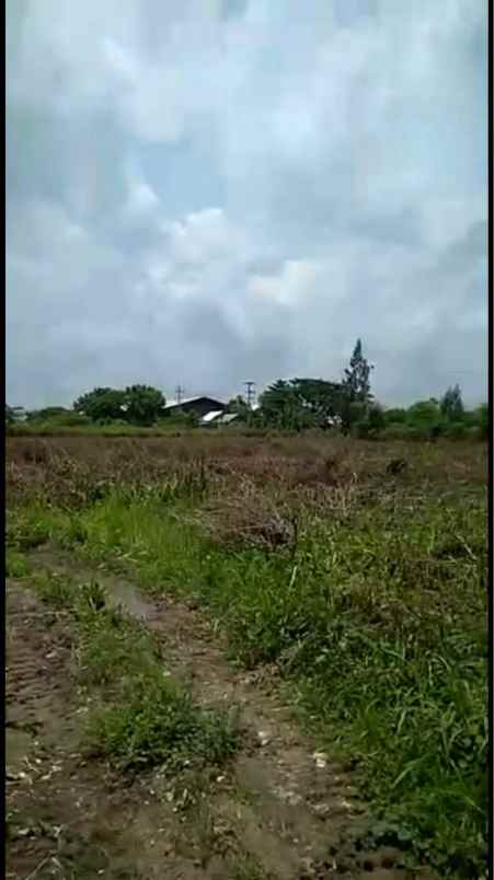 dijual tanah jalan raya tuban babat