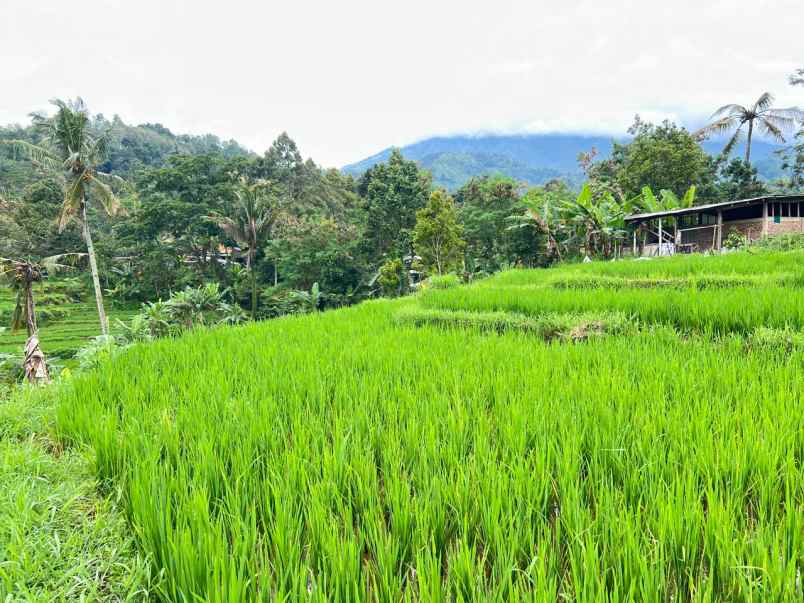 dijual tanah jenawi karanganyar