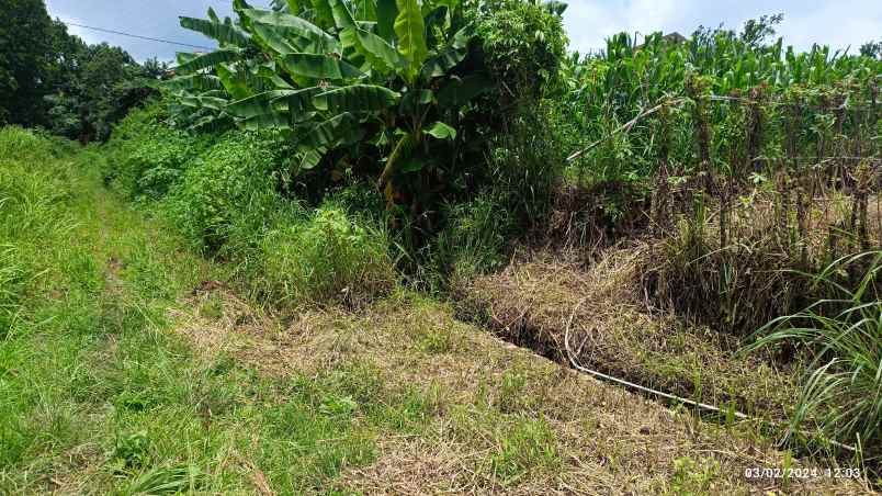 dijual tanah jl teuku cik ditaro kemiling