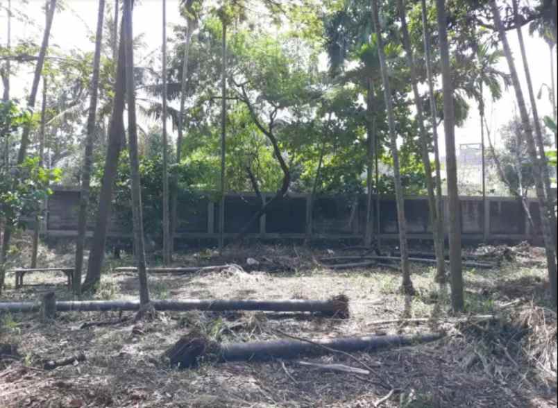 dijual tanah kavling dki pondok kelapa