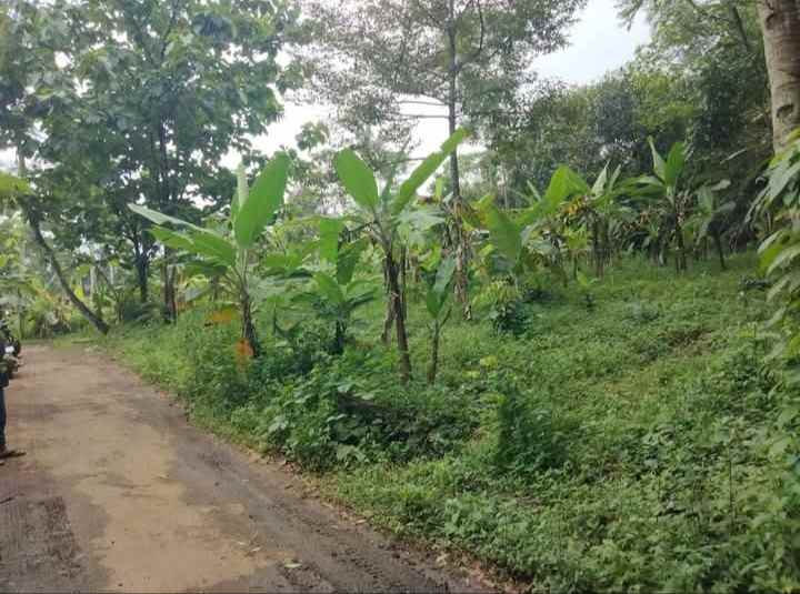 dijual tanah kebun akses jalan mobil