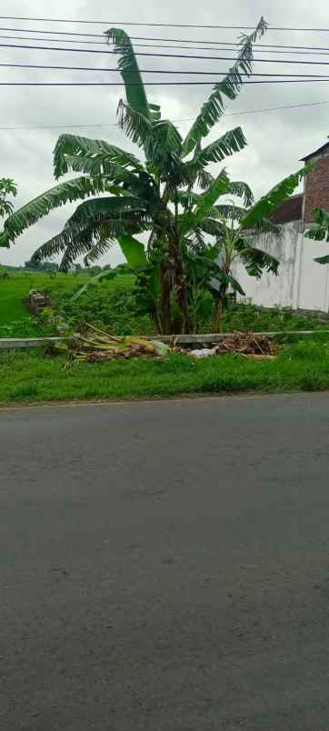 dijual tanah kedung watu