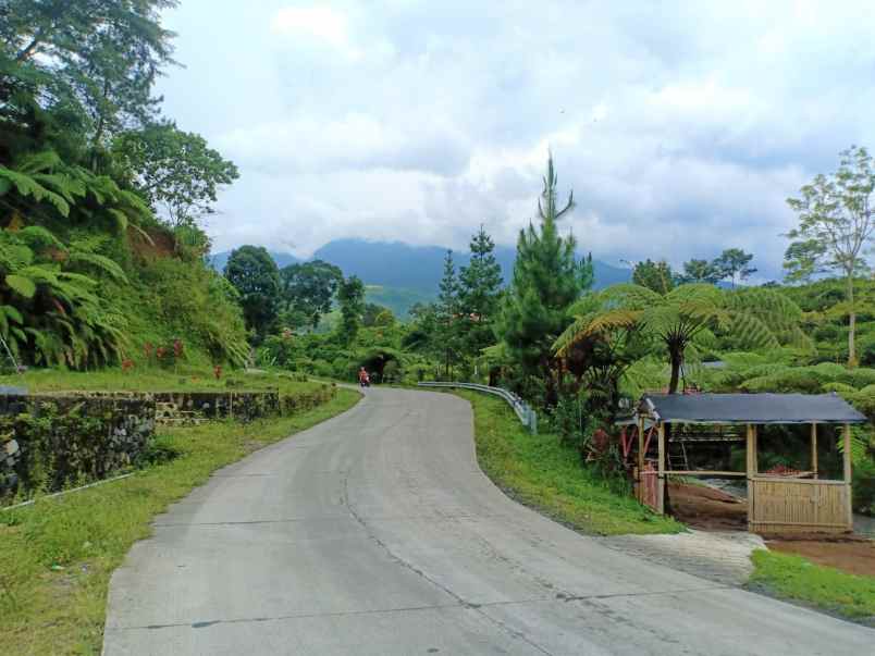 dijual tanah kemuning ngargoyoso