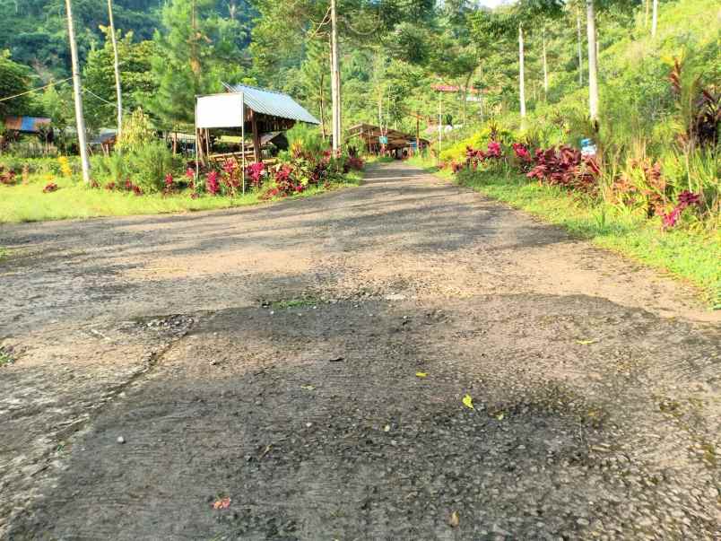 dijual tanah kemuning ngargoyoso
