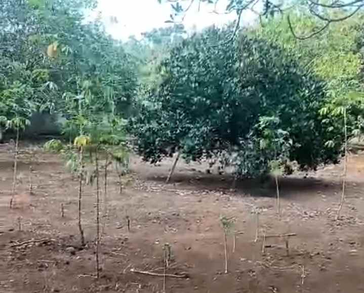 dijual tanah komersil 1 5 ha setu kab bekasi