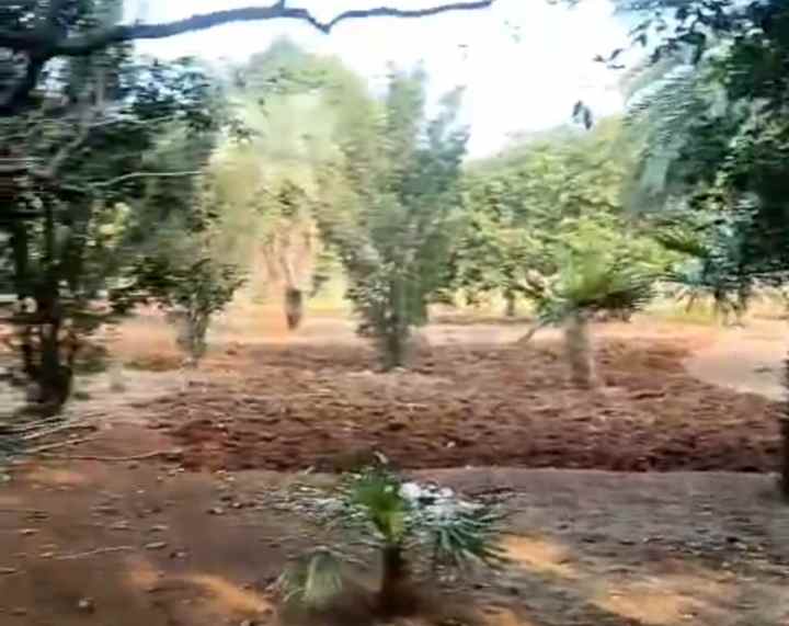 dijual tanah komersil 1 5 ha setu kab bekasi