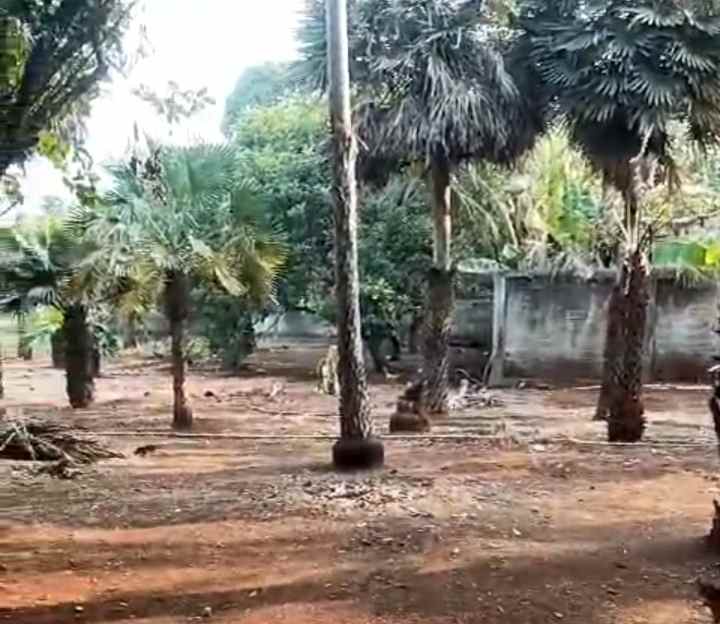 dijual tanah komersil 1 5 ha setu kab bekasi