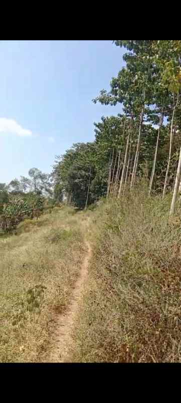 dijual tanah kp nagrak derwati