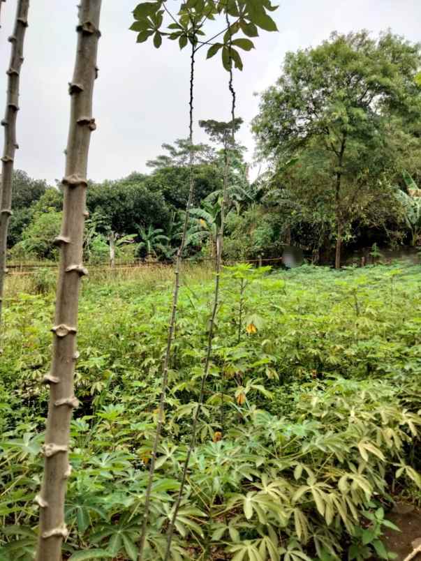 dijual tanah lokasi strategis dekat