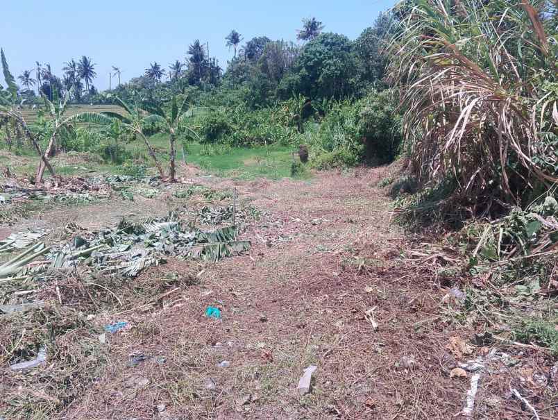 dijual tanah pantai nyanyi beraban