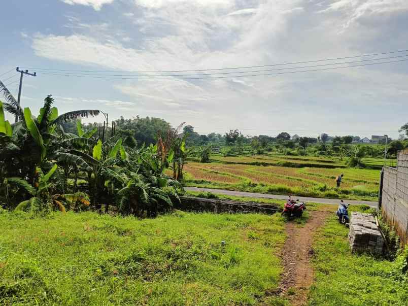 dijual tanah patuk candi wates kec