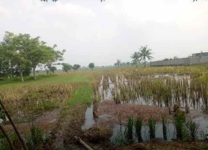 dijual tanah perum 60 hektar bekasi