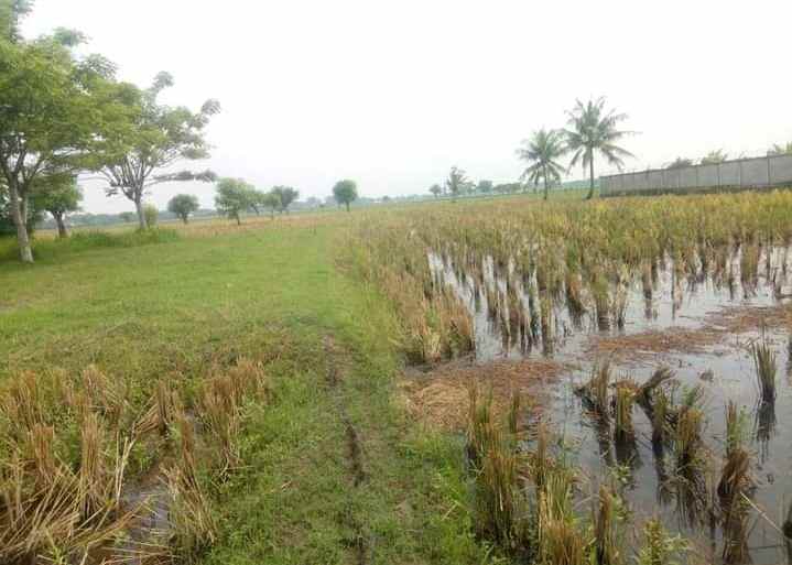 dijual tanah perum 60 hektar bekasi