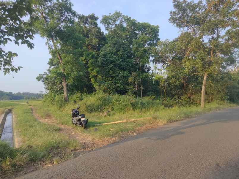 dijual tanah pinggir jalan kabupaten