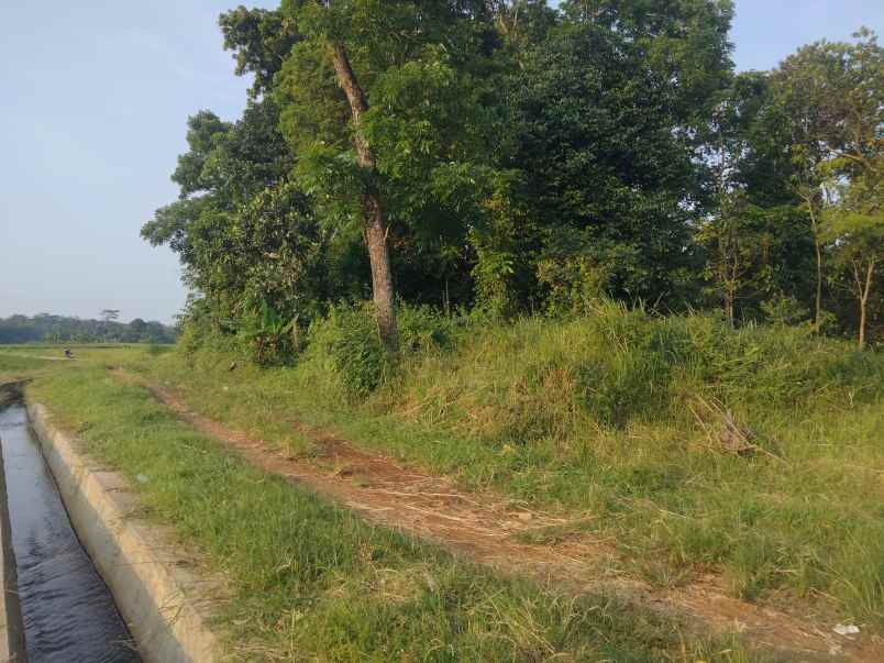 dijual tanah pinggir jalan kabupaten