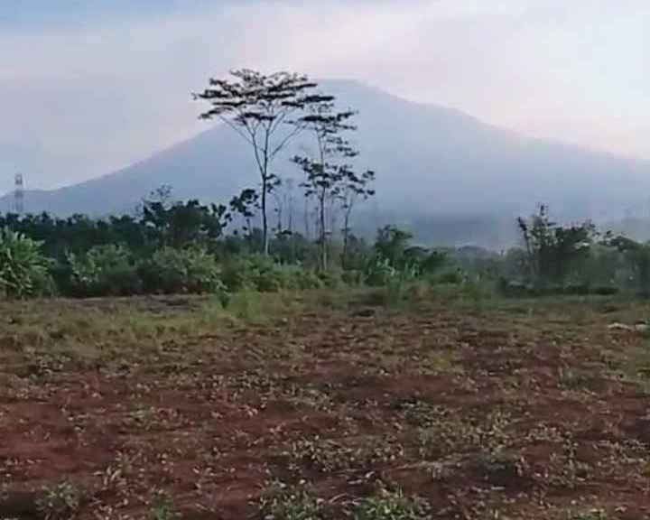 dijual tanah pinggir jalan view gunung