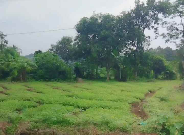 dijual tanah pinggir jalan view gunung